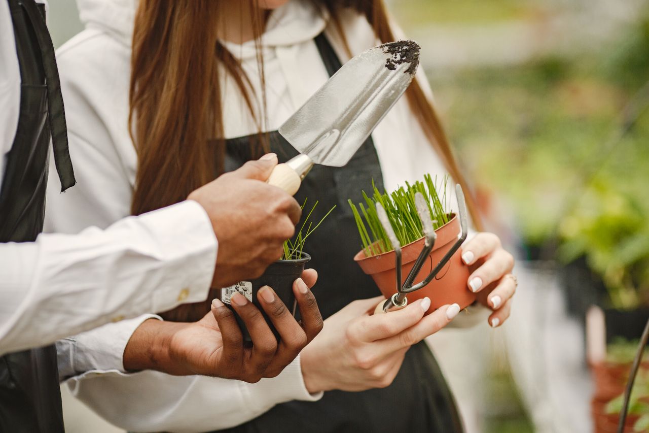 services-05 Gardeners in greenhouse holding seedlings and gardening tools. Close-up view.