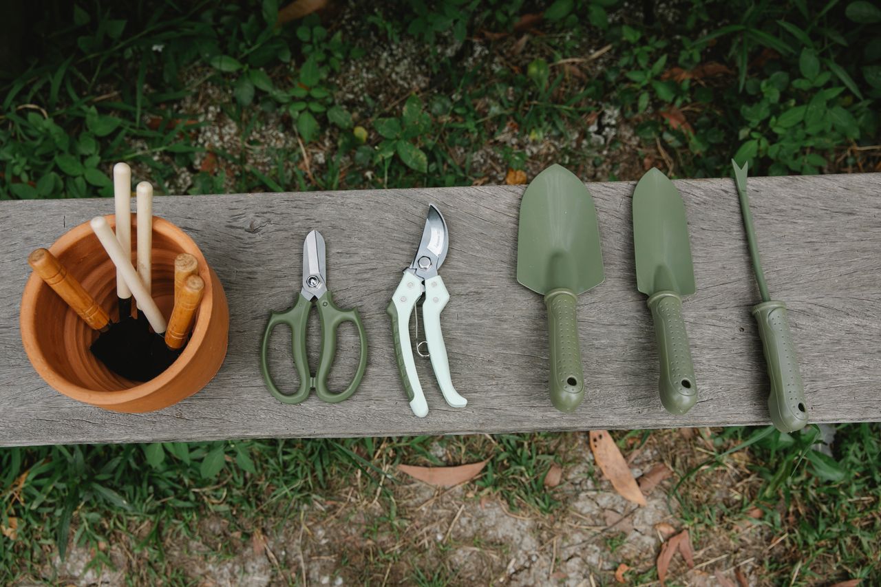 about-us Top view of row of scissors secateurs shovels and tools for loosening soil near pot with instruments on wooden bench in garden