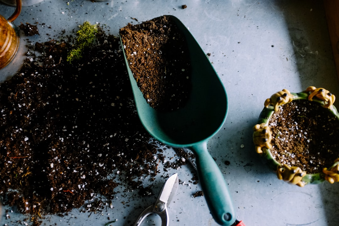 green-metal-garden-shovel-filled-with-brown-soil-bdudcryslkm